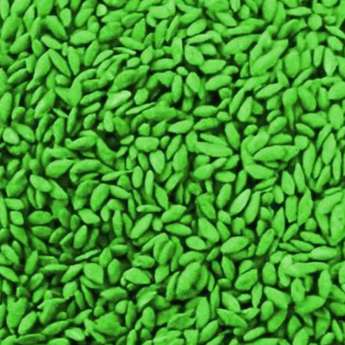 Magi Sementes Grama Batatais 2kg - Sementes Jardim