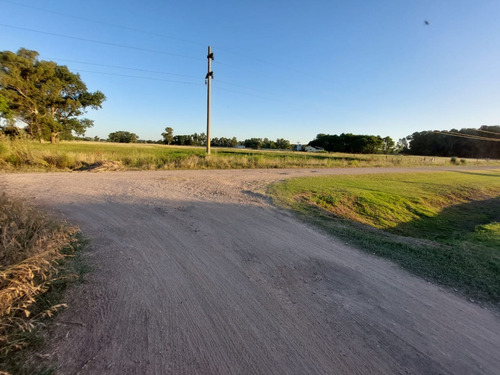 Hermoso Lote Esquina En Zona De Quintas