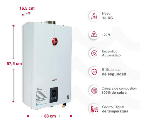 Calentador De Agua 21lt Gas Propano Tiro Forzado Dig Rheem