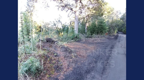 Imagen 4 de 9 de Venta Lote/terreno Calle 25 S/n 803m2, Faldeo Del Bayo, Villa La Angostura Con Ventaja Constructiva
