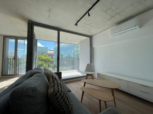Venta Apartamento 3 Dormitorios Rentado Ciudad Vieja Alma Duc