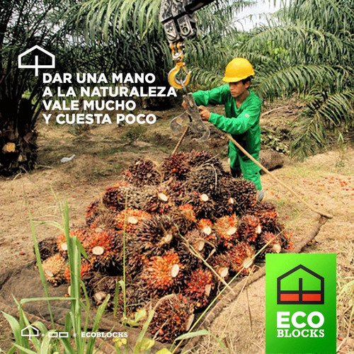 Tijolo Ecologicas Construye Facil 25x12,5x8 Certificados