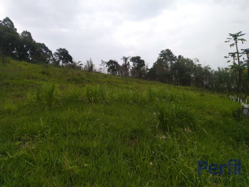 Imagem 3 de 4 de Terrenos - Urbano - 2480