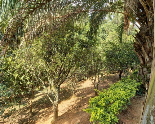 Imagem 9 de 27 de Chácara Para Vender Em Frente A Portaria Do Santa Fé Ii Em Joanópolis-sp - Ch00079 - 70804853