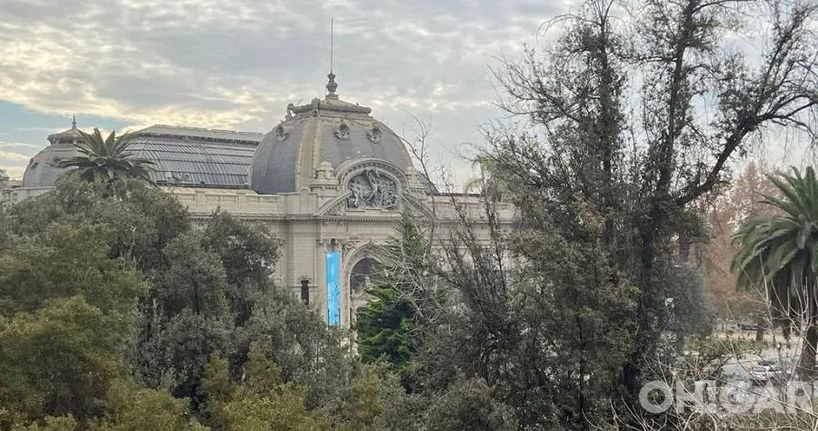 Imagen 5 de 13 de Museo Bellas Artes