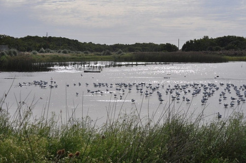 Imagen 6 de 30 de Chacra En Venta Laguna Del Rosario