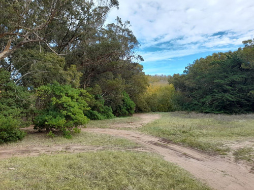 Terrenos En Venta - 5.710mts2 - Arenas Verdes, Lobería