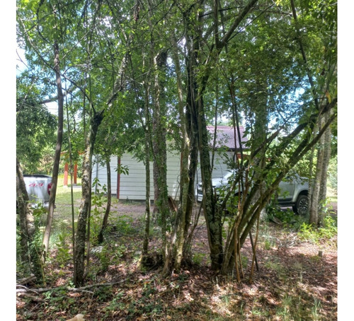 Venta / 2 Parcelas Molco - Una Con Casa / Ambas O Separadas
