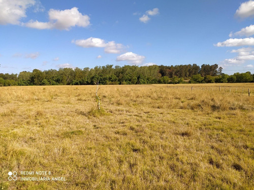Vendo 14 Has Con Costa Al Arroyo Canelón Grande, Casa Amplia, 2 Galpones, Buen Pozo, Consulte