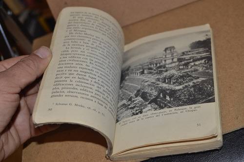 Los Codices Mayas (Usado)