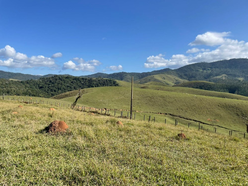 Imagem 8 de 30 de A23d-terreno Em Área Rural Com Ótima Topografia