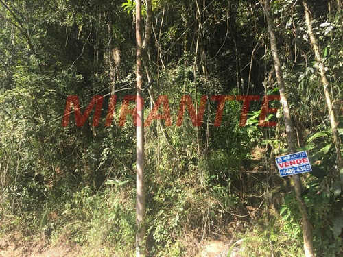 Imagem 7 de 7 de Terreno Em Serra Da Cantareira - São Paulo, Sp - 325155