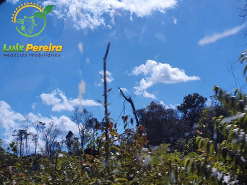 Imagem 4 de 15 de Fazenda À Venda Em Rondom - Pa - 11.000 Hectares (dupla Aptidão) - 1949