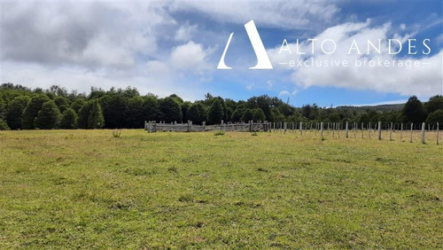 Imagen 3 de 12 de Sitio En Venta En Coihaique