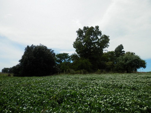 Solis De Mataojo 183ha Agr-gan Sobre Ruta 8