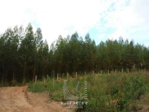 Imagem 1 de 6 de Terreno Estiva Do Agudo Bragança Paulista Sp - Js8556-1