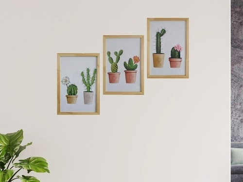 Cuadros Decorativos 20x30 Cactus X3 Completos