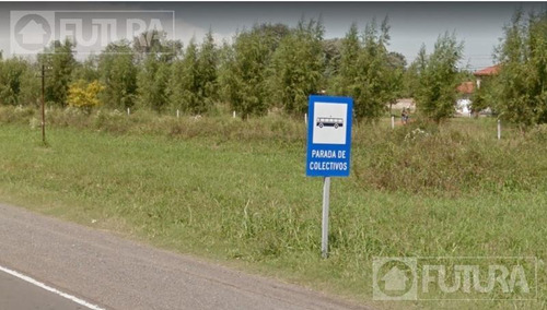 Imagen 4 de 5 de Terreno En Venta Sobre Calle Rita De Ibarlucea