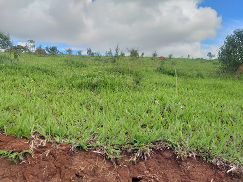 Imagem 4 de 8 de #v# J11- Seu Lote Com Vista Pro Lago
