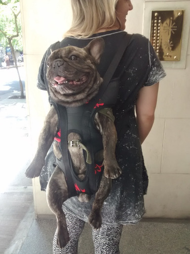 Imagen 2 de 3 de Mochila Para Perros Mochichunis Talle Xxl Hasta 15 Kg