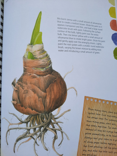 Libro Fisico Botanical Y Birds Illustration, Stock Limitado.