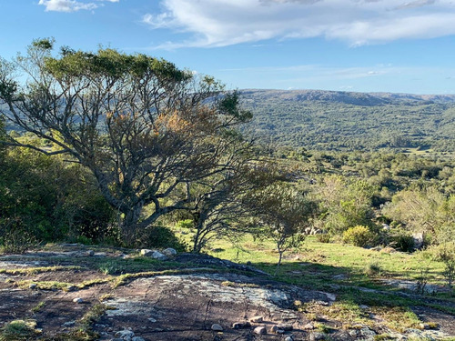 Quinta En Venta - Monoambiente En Aiguá (ref: Bpv-7831)