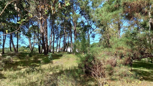 Imagen 6 de 17 de Lote En Venta En La Barra (ref: Atm-6651)