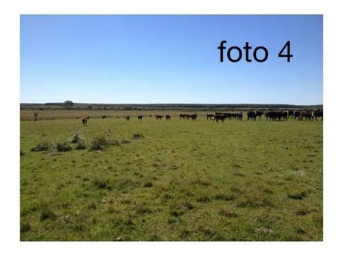Imagen 1 de 1 de Excelente Fracción Con 1500 Metros De Frente Sobre Ruta 9