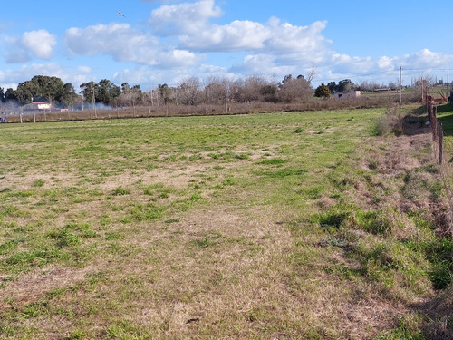 Vendo 3 Lotes D 41x83mts En Ruta 3 Km 36 Barrio Oro Verde