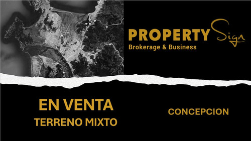 Terreno Uso Mixto General Bonilla Concepción / Tm-11