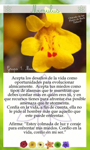 Cartas Oráculo De Las Flores De Bach Tuluz®