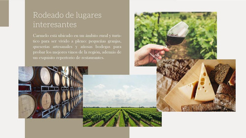 Imagen 8 de 20 de Terreno En Carmelo - Uruguay