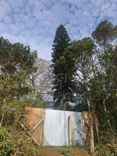 Terreno Em Taruma - Bt10112