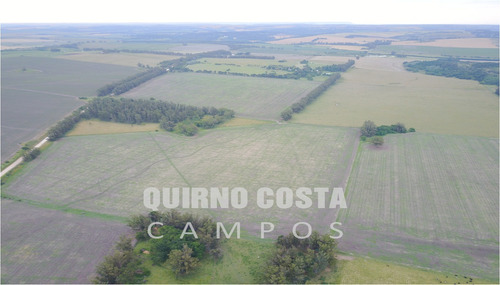 Campo Agricola Venta Sierra De Los Padres Mar Del Plata