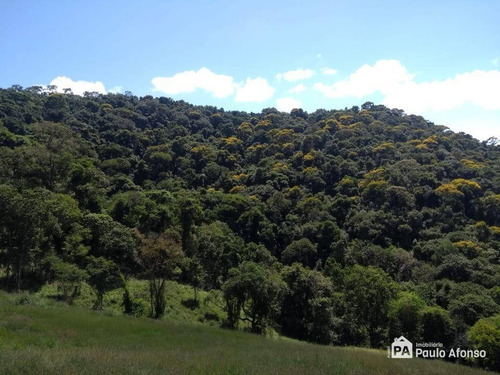 Chácara Residencial À Venda, Centro, Divinolândia - . - Ch0026