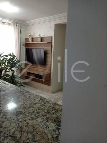 Imagem 2 de 18 de Apartamento À Venda Em Jardim Nova Europa - Ap008777