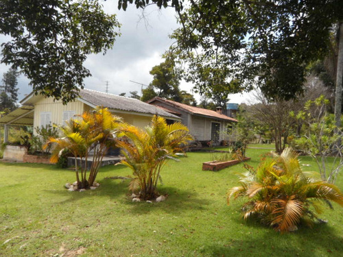 Espetáculo De Sítio Em Mairinque C/41.000m2 Piscina, Frutas