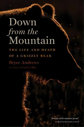 Down From The Mountain : The Life And Death Of A Grizzly Bear, De Bryce Andrews. Editorial Mariner Books, Tapa Blanda En Inglés