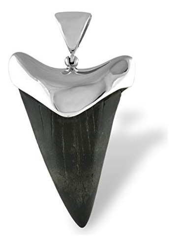 Dije Con Diente De Tiburón Fósil En Plata De Ley De 5 Cms Color Plateado