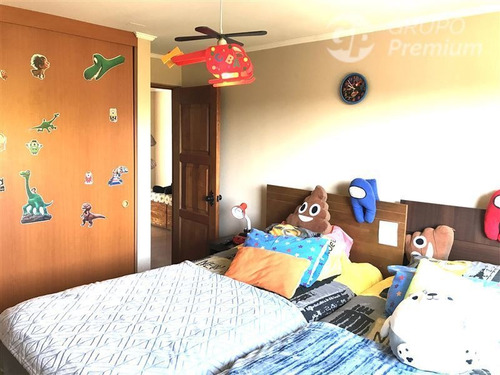 Imagen 28 de 30 de Parcela En Venta Peñaflor Con 3 Casas, Arboles Frutales