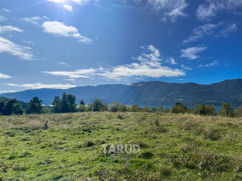 Parcela 5000 M2 Lago Riñihue Ribera Sur. Región Los Ríos