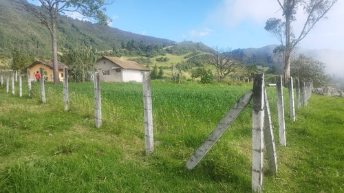 Imagen 5 de 8 de Vendo Finca En Yacudel, Area 21330 M2 Con Casa De Campo