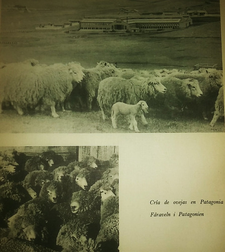 Fotos Argentina Publicado Asociación Sueco-argentina 1944