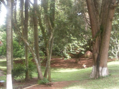 Imagem 11 de 15 de Chácara Para Venda Em Ibiúna, Ibiúna, 3 Dormitórios, 1 Suíte, 2 Banheiros - 319_2-1190111