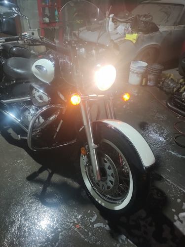 Colo Negro Con Blanco Llantas Cara Blanca Jalando Muy Bien