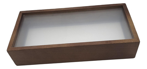 Vitrina De Madera Con Forma De Caja De Sombras Y Flores Seca