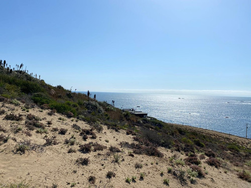 Terreno En La Playa, Vista 360° Al Sur De Los Vilos