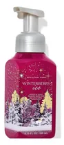 Comprar Jabon Espumoso Winterberry Ice Bath And Body Works