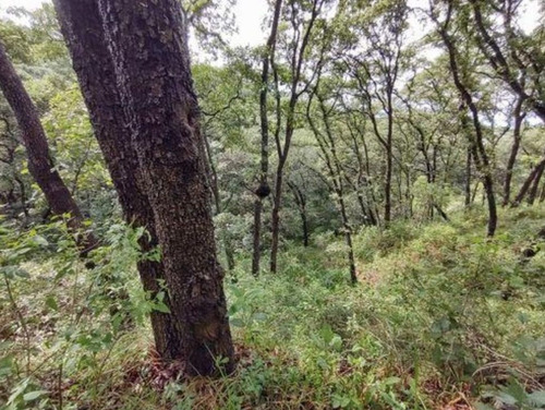 Terreno En Venta, Hacienda De Vallescondido Cod. Vte740