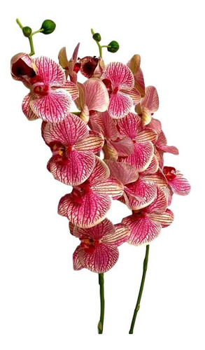 2 Galhos De Orquideas Artificiais Silicone Flor P/ Decoração | MercadoLivre
